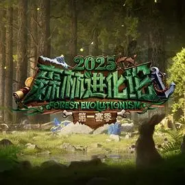 森林进化论第三季：探秘自然法则，谁能成为最终赢家？